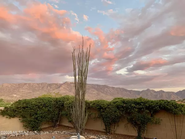 Saddlebrooke, AZ 85739,63719 E Whispering Tree Lane