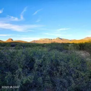 Oracle, AZ 85623,45400 E Painted Sky Drive