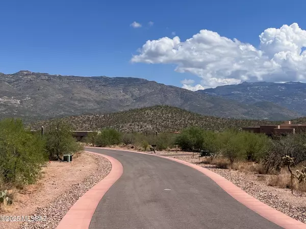 Tucson, AZ 85747,7910 S Diamond K Ranch Place #249