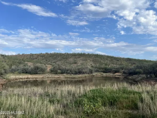 Patagonia, AZ 85624,30 Camino Los Vientos  #6