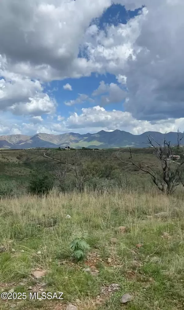 Patagonia, AZ 85624,30 Camino Los Vientos  #6