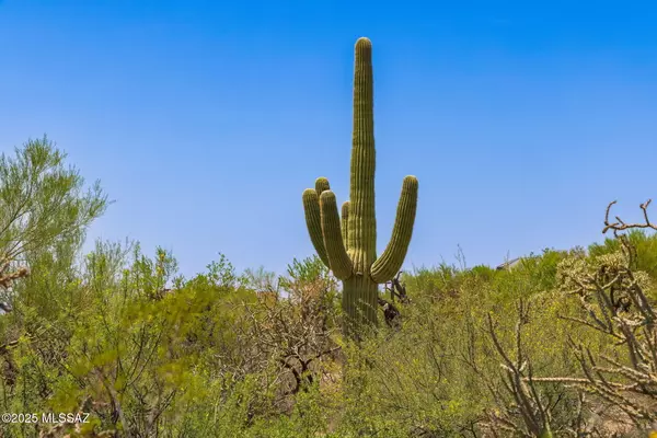 Tucson, AZ 85742,4655 W Camino De Manana  #H