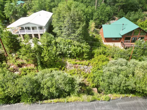 Mt. Lemmon, AZ 85619,11149 E Carter Canyon Road #0