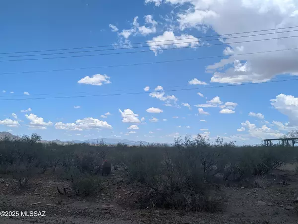 Rio Rico, AZ 85648,97 Avenida De Las Naciones  #6