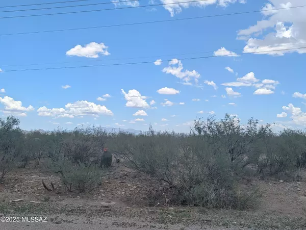 Rio Rico, AZ 85648,97 Avenida De Las Naciones  #6