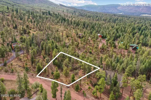 Alpine, AZ 85920,14 Co Rd 2074 #29