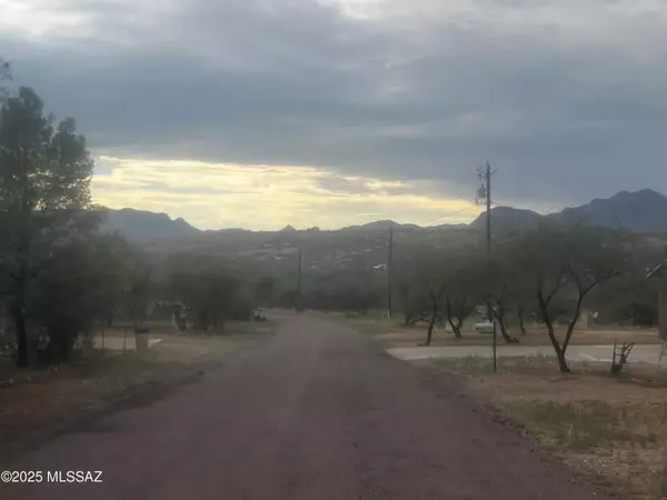 Rio Rico, AZ 85648,1442 Circulo Silva  #94