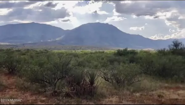 Pearce, AZ 85625,5A Parcel ID 113-05-029  #123