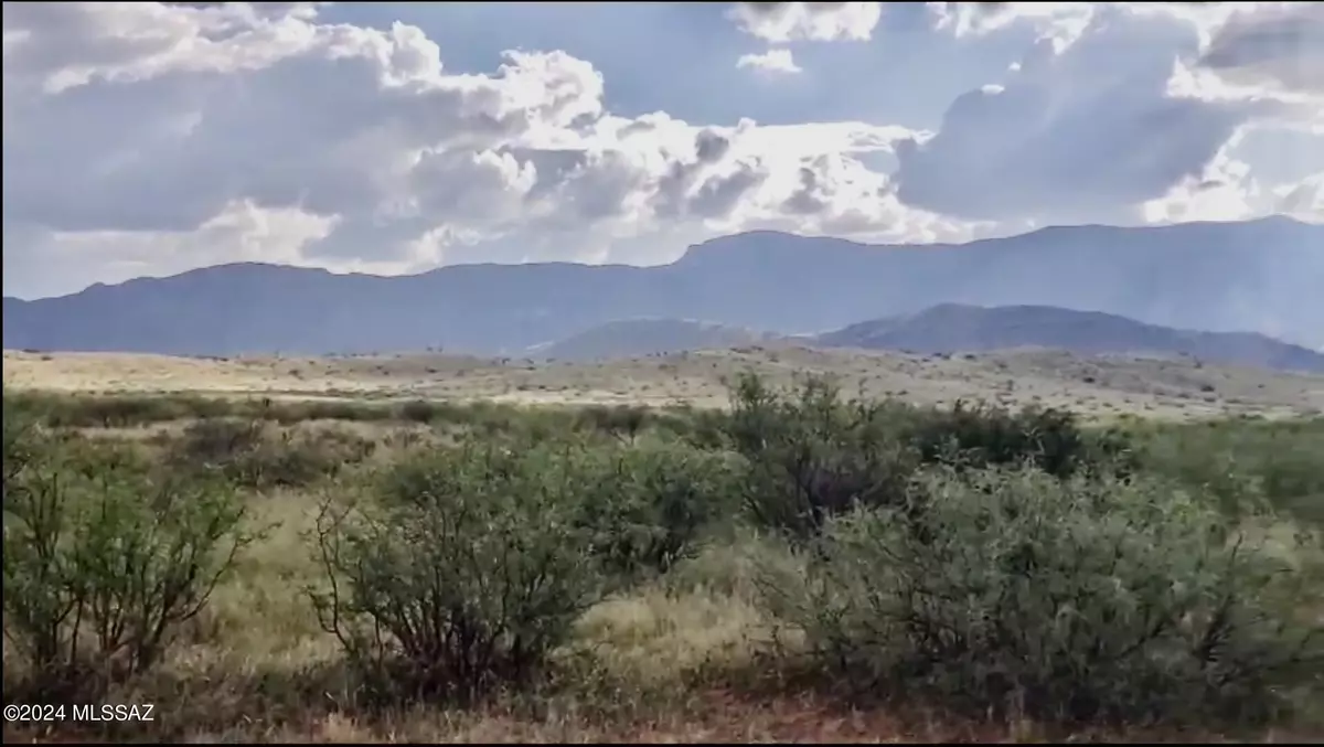 Pearce, AZ 85625,5A Parcel ID 113-05-029  #123