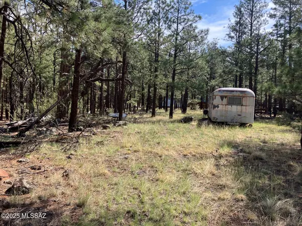 Eagar, AZ 85925,18 N CR 1045 #103