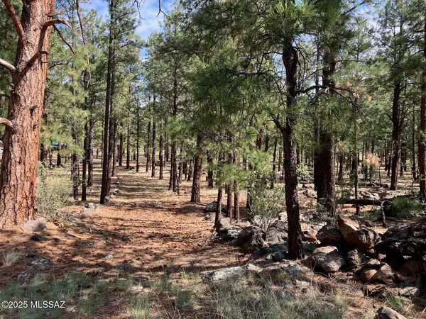 Eagar, AZ 85925,18 N CR 1045 #103