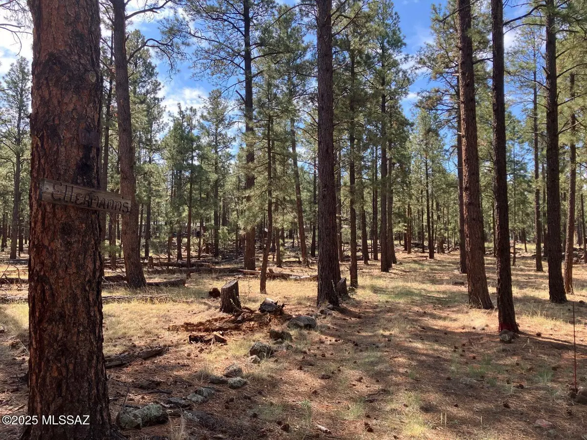 Eagar, AZ 85925,18 N CR 1045 #103