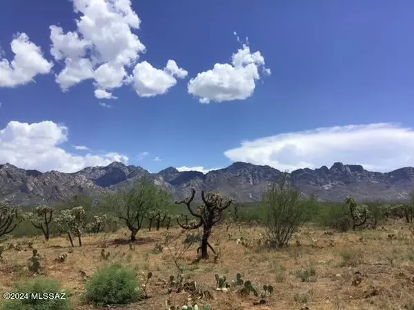 Catalina, AZ 85739,3611 E Rollins Road