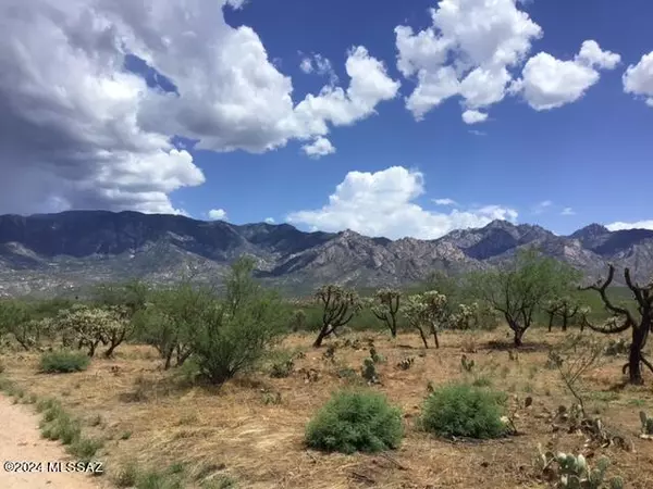 Catalina, AZ 85739,3611 E Rollins Road