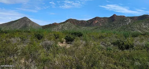 Hereford, AZ 85615,Lots 3 & 4 S Lonesome Drive #3