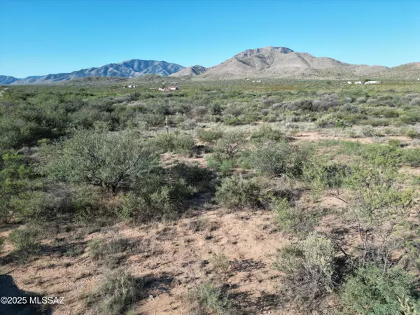 Cochise, AZ 85606,TBD Lot C W Dragoon Road