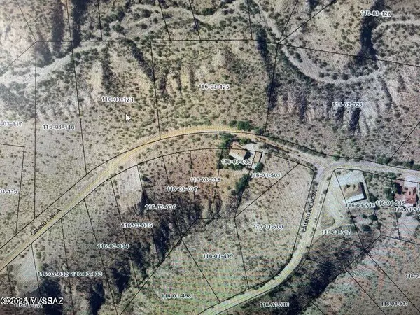 Rio Rico, AZ 85648,316 Camino Canoa  #82