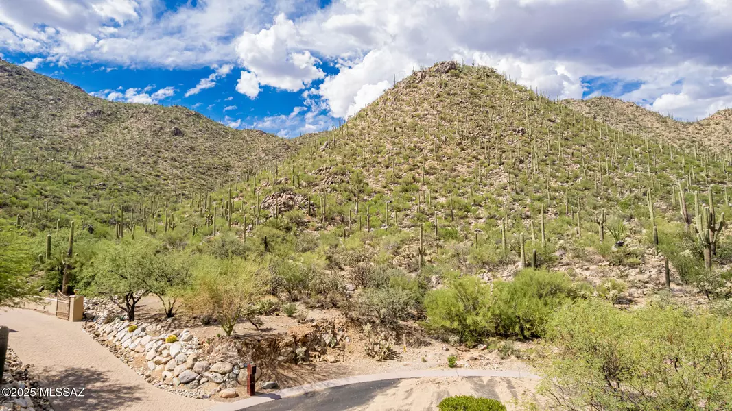 15285 N Silent Vista Court #132, Marana, AZ 85658