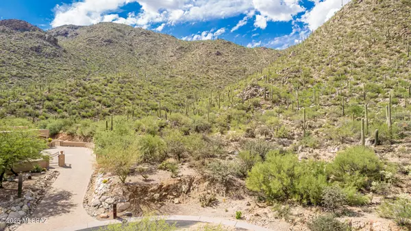 Marana, AZ 85658,15285 N Silent Vista Court #132