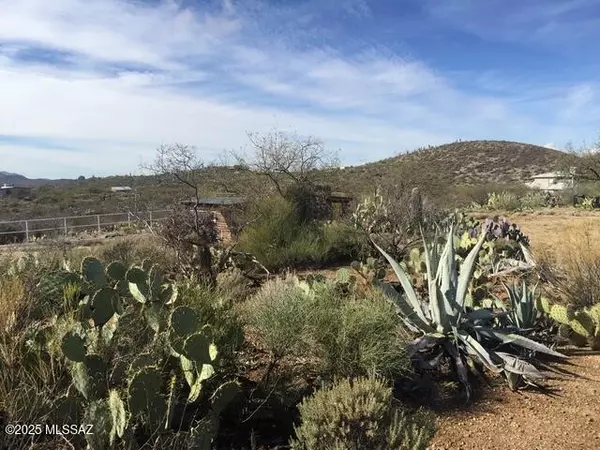 Saddlebrooke, AZ 85739,49246 E Tres Lomas