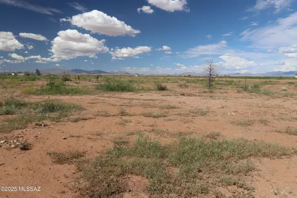 Pearce, AZ 85625,6286 E Mockingbird Road #8