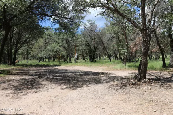 Hereford, AZ 85615,102 E Ramsey Canyon Road