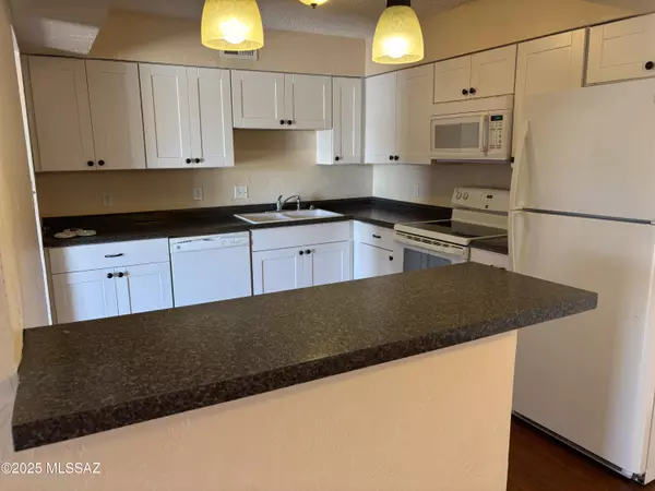 Tucson, AZ 85704,461 W Yucca Court #309