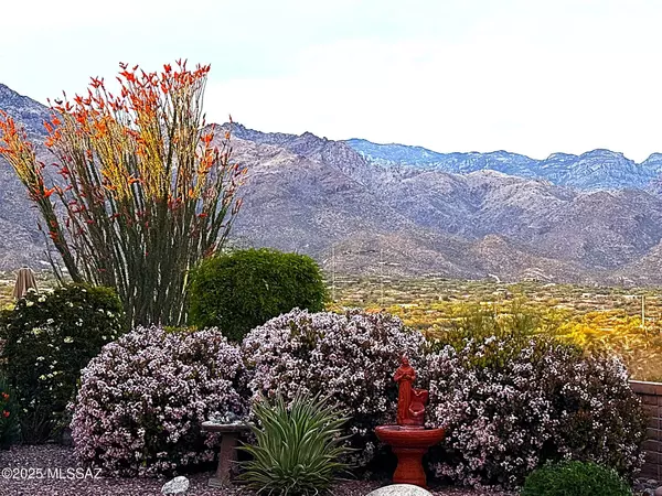 Tucson, AZ 85750,5344 N Via Sempreverde