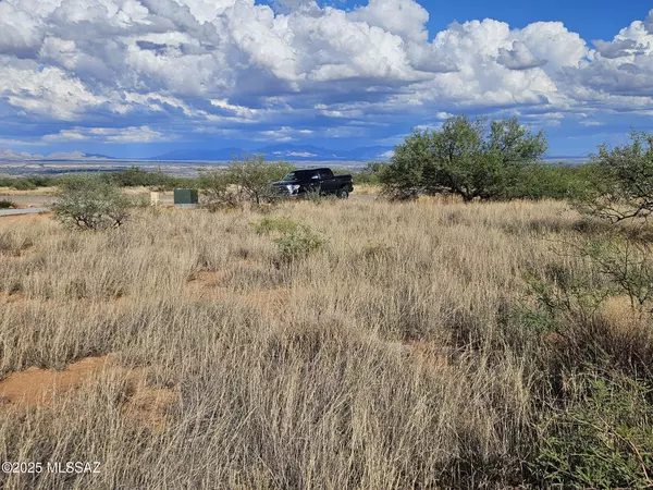 S Canyon Overlook Trail, Benson, AZ 85602
