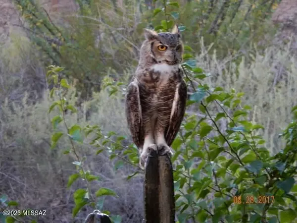 Saddlebrooke, AZ 85739,38996 S Moonwood Drive