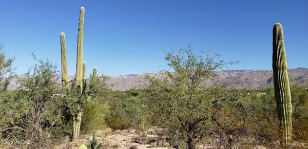 2930 N Lone Dove Trail, Tucson, AZ 85749