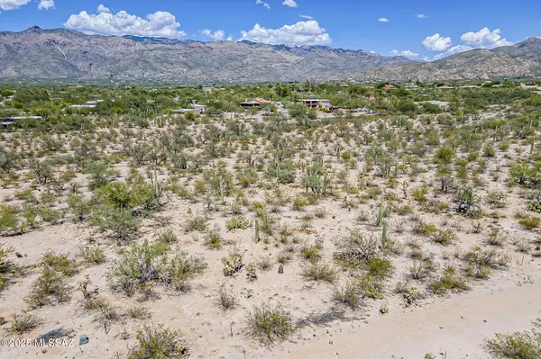 Tucson, AZ 85749,2930 N Lone Dove Trail