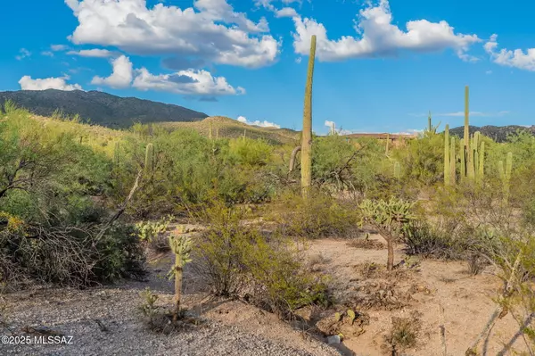 Tucson, AZ 85749,2641 N Placita Alicantina