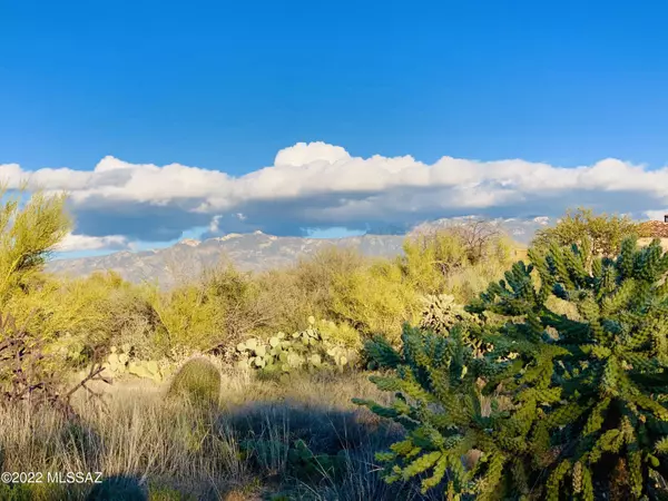 Oro Valley, AZ 85755,1235 W Weathered Stone Place #118