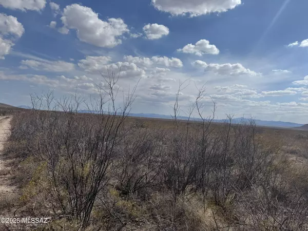 Douglas, AZ 85607,4.7 Acres La Cienega #130