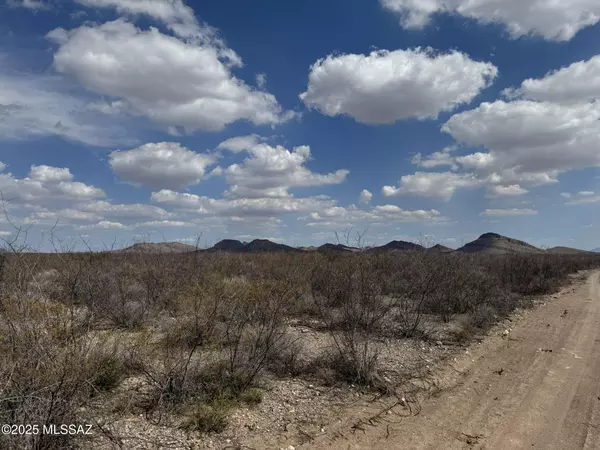 Douglas, AZ 85607,4.7 Acres La Cienega  #130