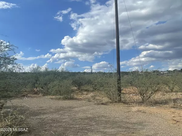 Rio Rico, AZ 85648,162 Sur Court #46