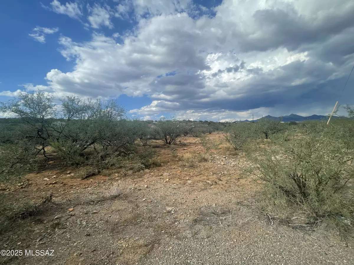 Rio Rico, AZ 85648,162 Sur Court #46