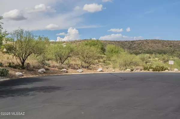 Saddlebrooke, AZ 85739,37096 S Canyon View Drive