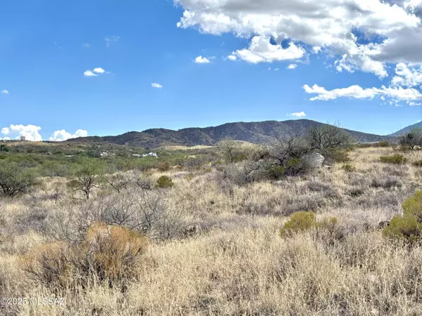 2.5 Acres W LINDA VISTA Road #TBD, Oracle, AZ 85623