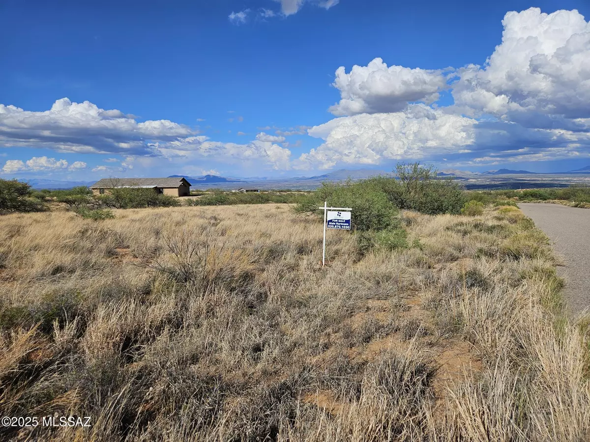 Benson, AZ 85602,S Canyon Overlook Trail