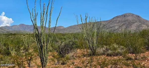 Bisbee, AZ 85603