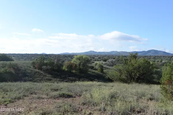 Sonoita, AZ 85637,TBD Kellogg Lane