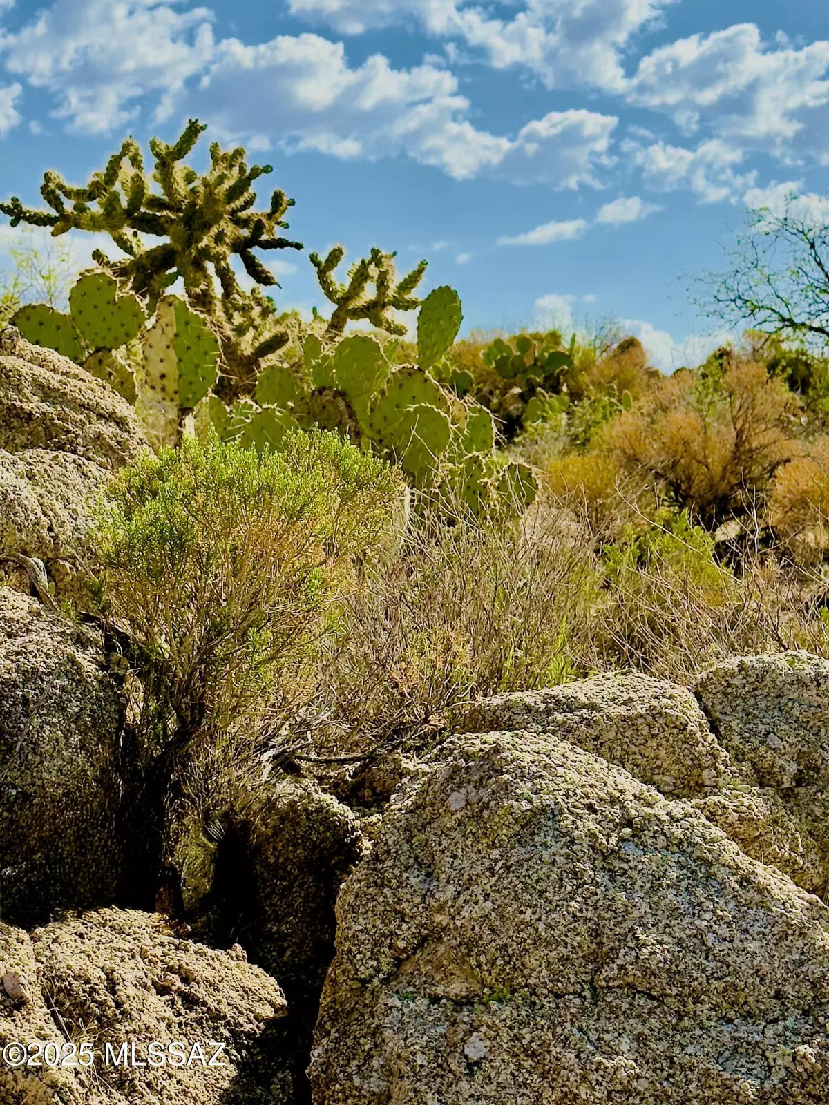 Oracle, AZ 85623,30503 S Charles Road  #25