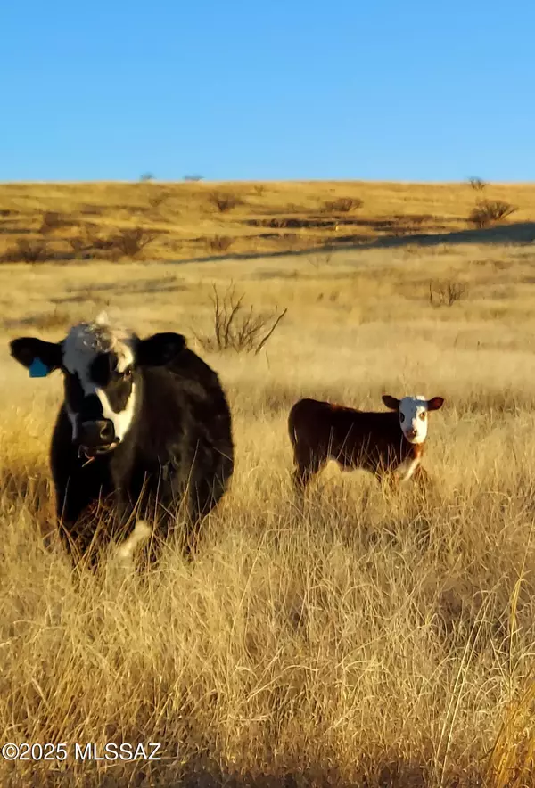 Elgin, AZ 85611,005B State Route Highway 83 #-