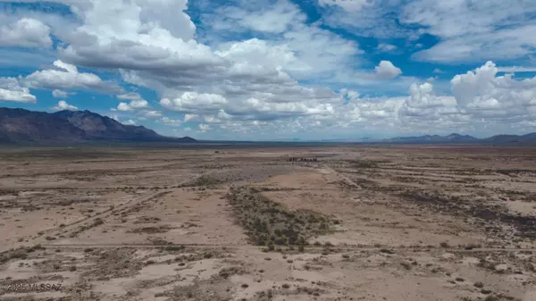 Portal, AZ 85632,40.98 Acre E Many Wells Road #32