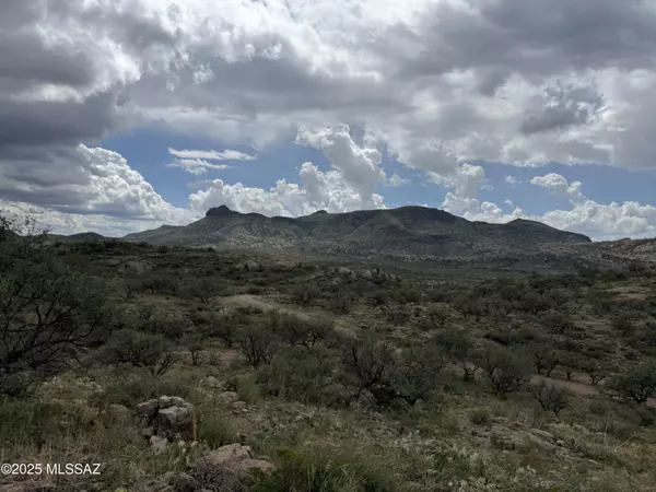 Tubac, AZ 85646,Vacant Land  #136