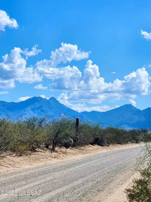 Sahuarita, AZ 85629,TBD S Irving Parcel C