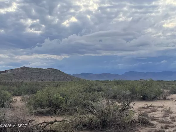 Willcox, AZ 85643,36.8 Acres Old Stewart Road #53