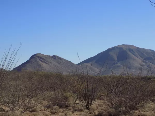 Tubac, AZ 85646,55 Camino Chimeneas  #TBD